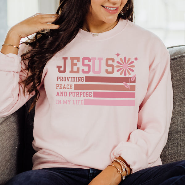 Person wearing a pink sweatshirt with a message about Jesus