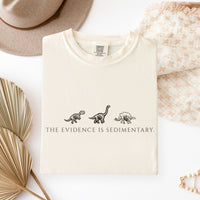 "The Evidence Is Sedimentary" Tee | Comfort Colors