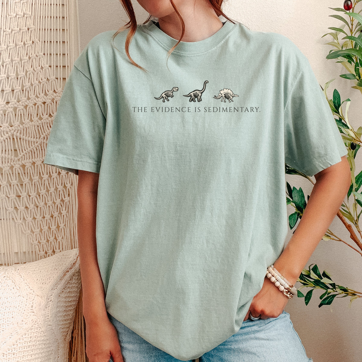"The Evidence Is Sedimentary" Tee | Comfort Colors